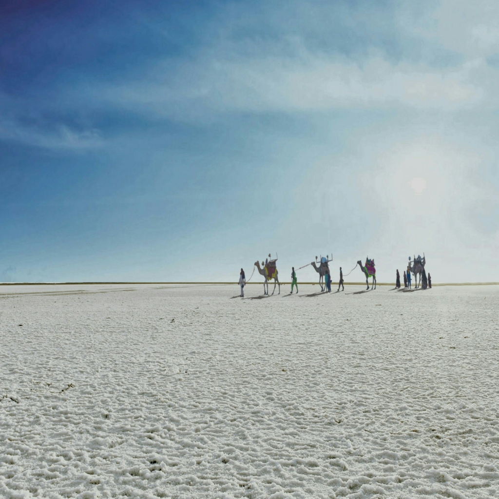 Rann Utsav