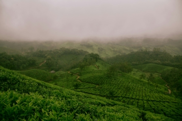 places to visit in Darjeeling