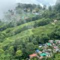 things to do in darjeeling