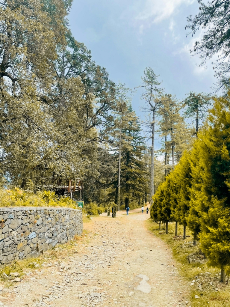 national park in mashobra