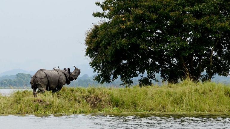 जनवरी में भारत में घूमने के लिए सर्वश्रेष्ठ पर्यटन स्थल