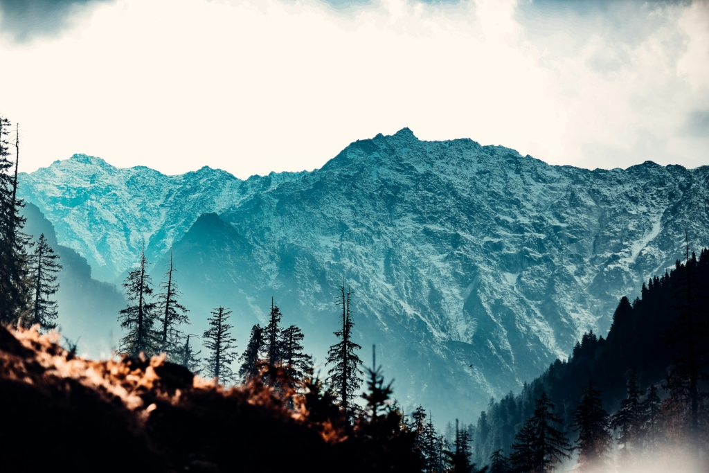 Witness First Snowfall in Manali & Shimla Plan Your Winter Trip to