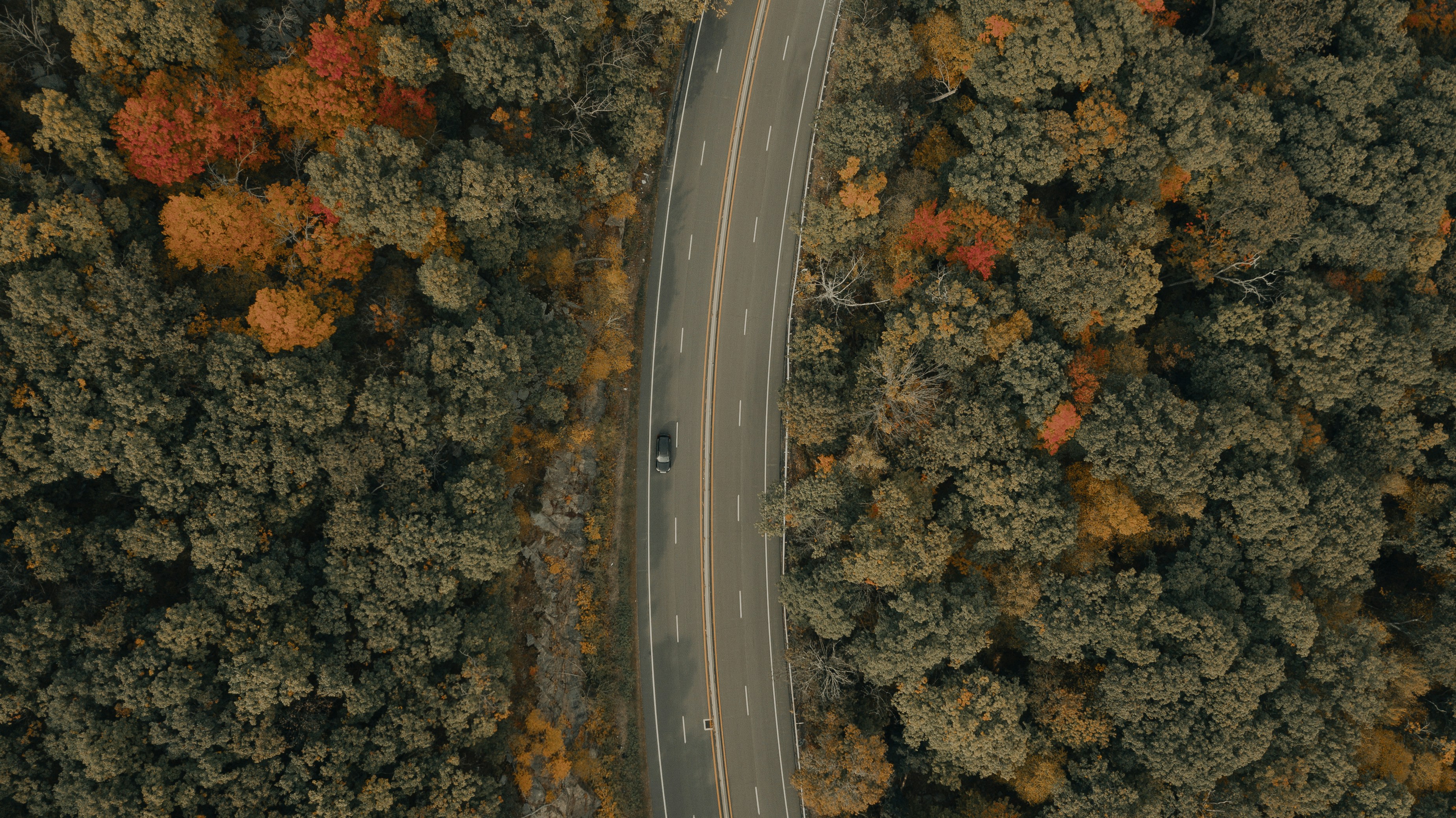chandigarh to shimla road trip