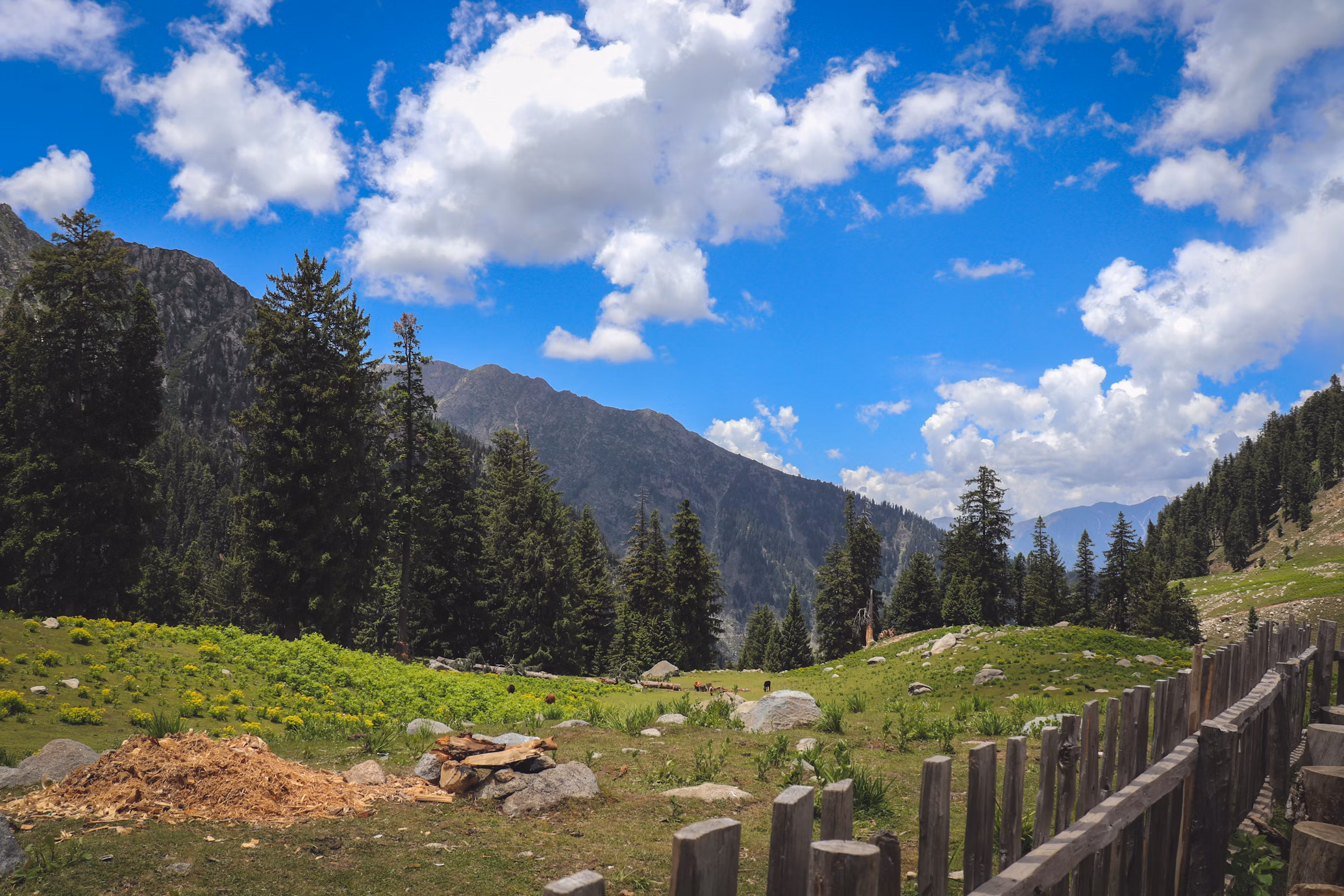 Tourism in Kashmir
Things to do in Kashmir
Places to visit in Kashmir
Top summer destinations in India
Places to visit during summer in India
Kashmir tourism
Image Credits Adnan Sami via Unsplash