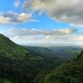 Homestay in Wayanad Image credited: Vinay Robin Antony