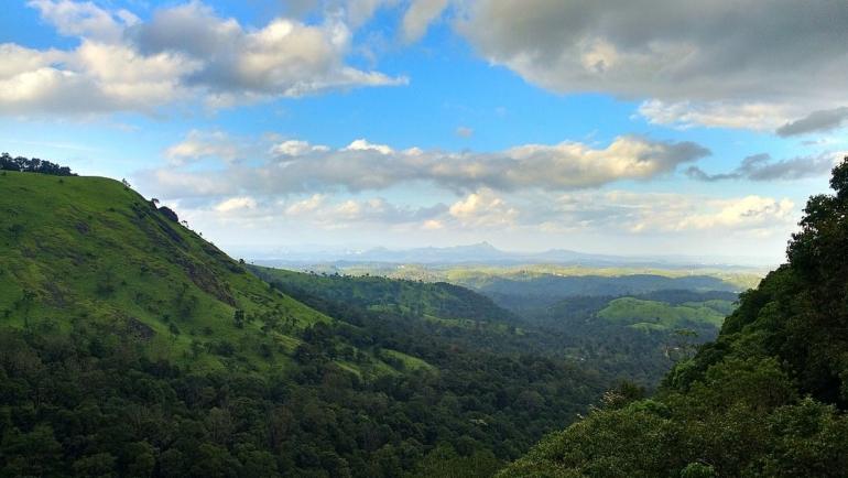 Homestay in Wayanad Image credited: Vinay Robin Antony