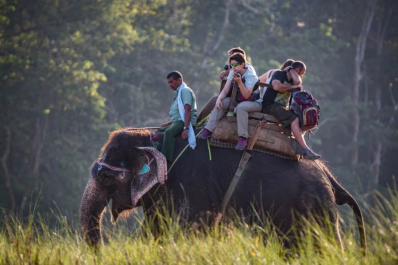 Tourism in India
Travel Kerela
places to visit in India
Things to do in Tamil Nadu
summer vacation with family
places to visit during summer in India