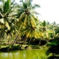 offbeat places in kerala