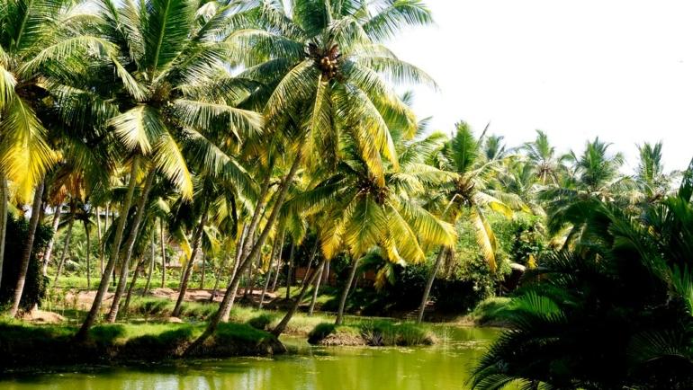 offbeat places in kerala