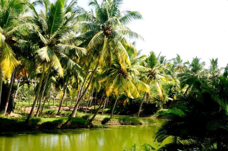 offbeat places in kerala