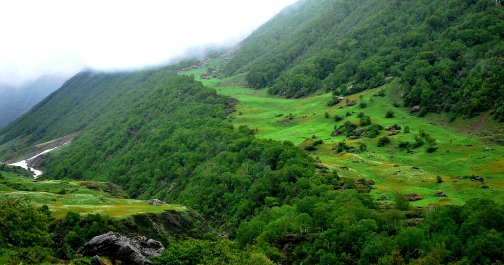 nanda devi national park in uttarakhand 2025