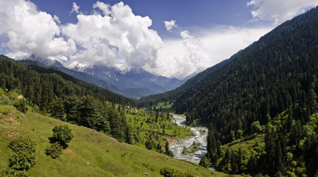 Image credits hitesh9352718 via Flickr
Tosa Maidan tourism
Kashmir tourism
tourism in Kashmir
Things to do in Kashmir
Places to visit in Kashmir