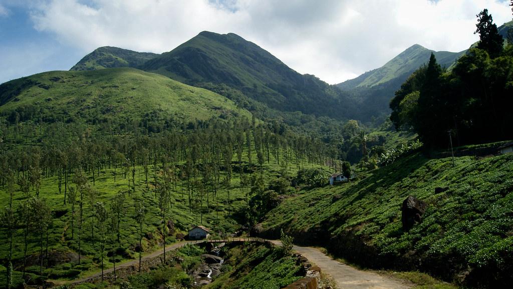 Chembra Peak in Wayanad
Image credits: Ramu Pradip