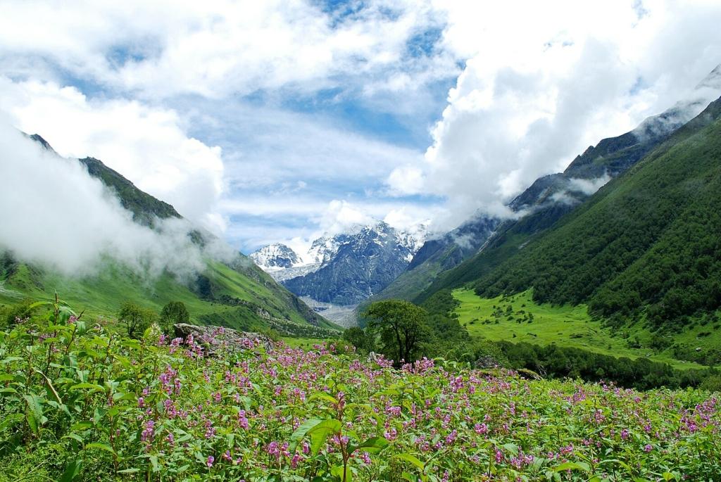 valley of flowers trek in uttarakhand 2025
