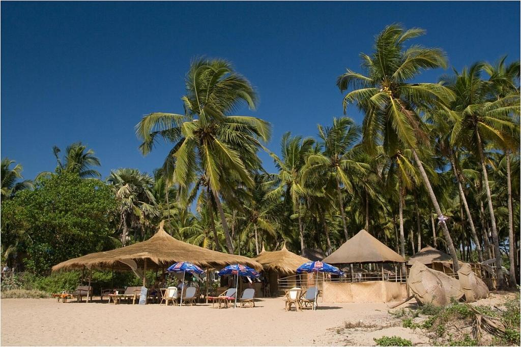 Agonda beach, Goa this summer
Image credits: Tuderna