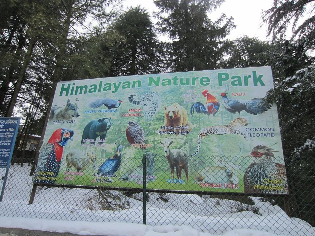 image credits Astajyoti1 via Wikimedia
things to do in shimla
tourism in India
tourism in Himachal Pradesh
