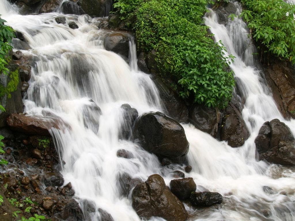 Amboli falls

Image Credit: Ayilliath via Wikimedia Commons