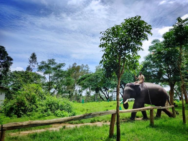 coorg weather in monsoon