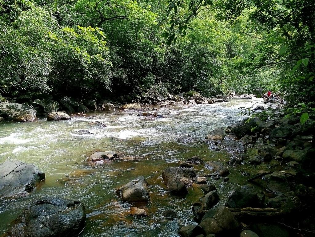 Best Waterfalls in Maharashta to Visit this Monsoon
Image credits: Dugarwadi Waterfall