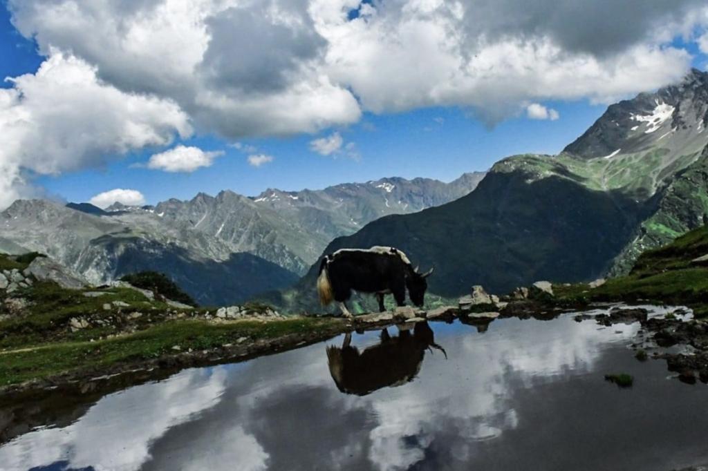 Valleys in Summer
Image credits: Celebindiaworld