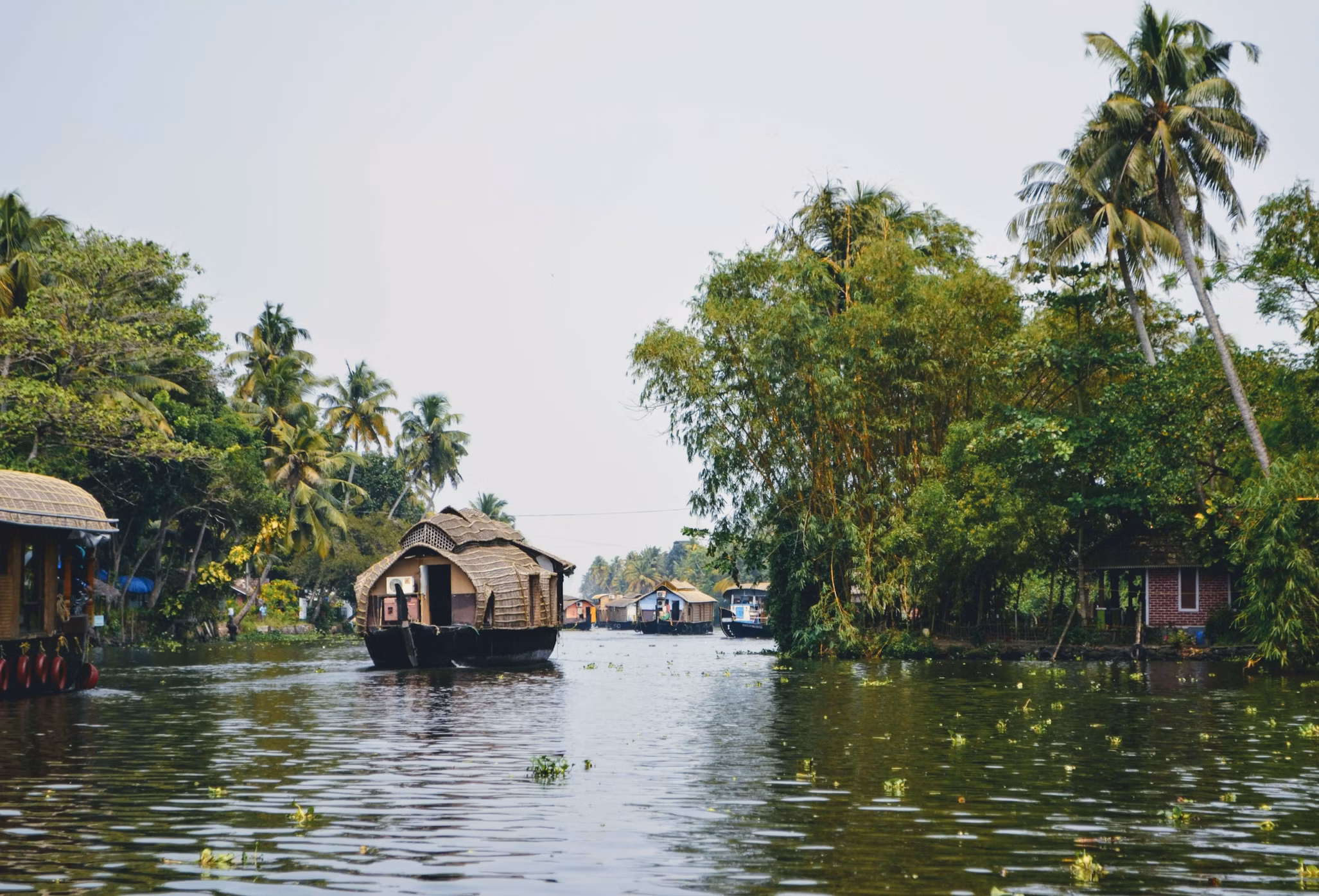 Alleppey backwaters Kerala, tourist places in Kerala
Image Credit: Kunal Kalra via Unsplash