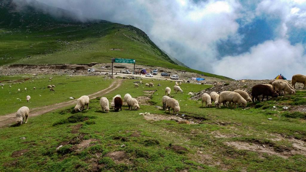 Image credits Madhumitaworld via Wikimedia
Kokernag tourism
Kashmir tourism
Kashmir Travels
Things to do in Kashmir
Places to visit in Kashmir