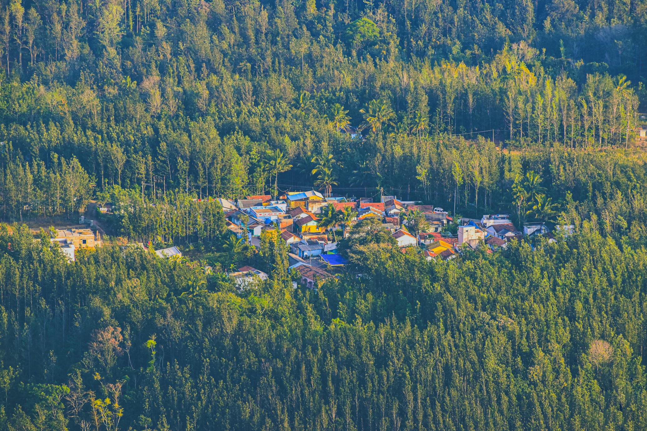 Yercaud Hill station in India
Image Credit: Navi via Unsplash