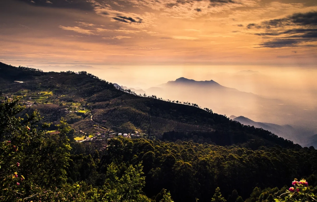 image credits Odrienn via goodfon.com
Things to do in India during monsoon
Places to visit in  Kodaikanal with family and friends