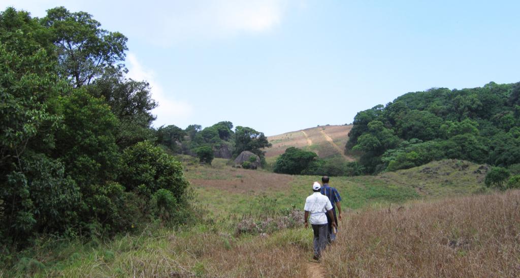 Pakshipathalam Bird Sanctuary in Wayanad
Image credits:Vinayaraj
