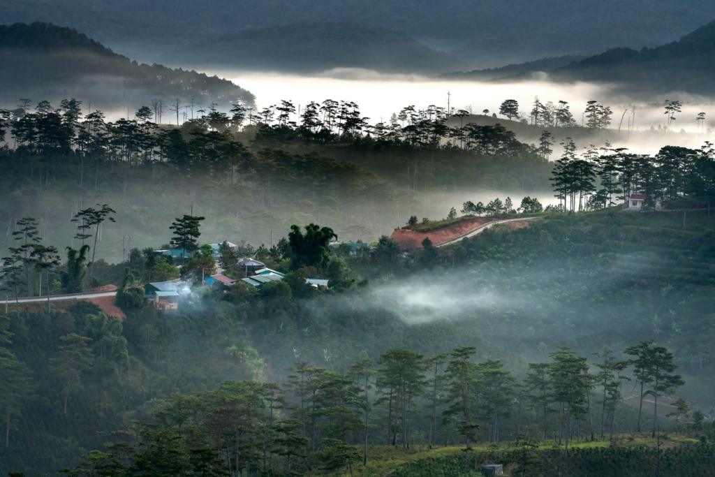 image credits Quang Nguyen Vinh via Pexels
Tourism in South India
Travel in Kerela
Karnataka in monsoon
Tourism in South India during monsoon
Things to do in Coorg
Coorg in monsoon