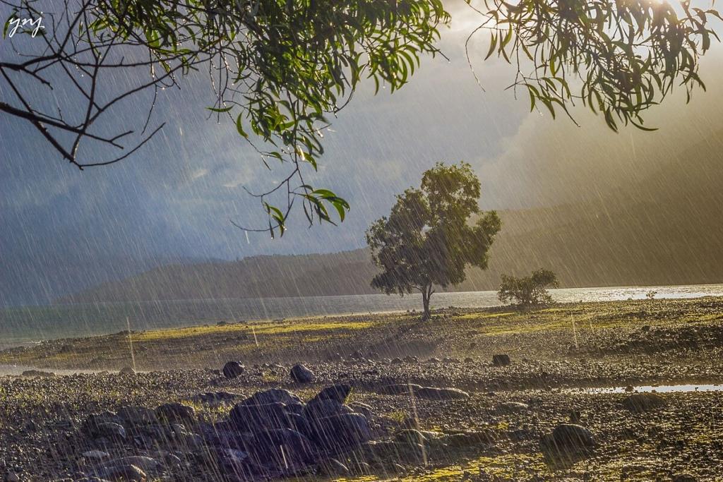 Image credits Red panda bot via wikimedia
Monsoon in India
Places to travel in India during monsoon
Things to do in India in monsoon
Monsoon travels