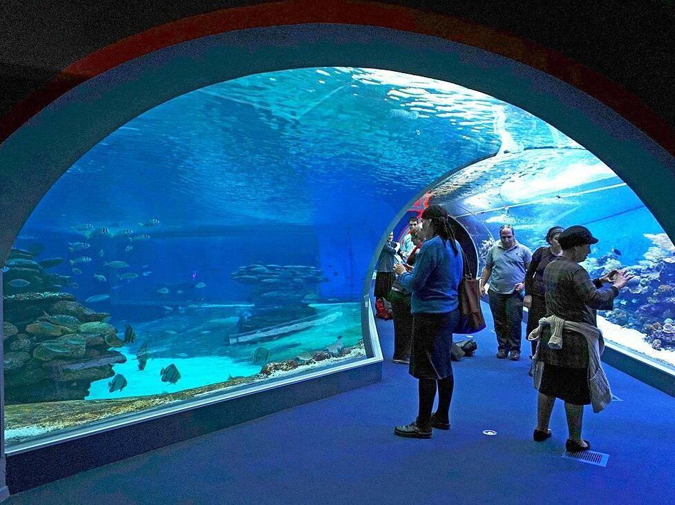 offbeat places in Kerala is the Marine World Kerala.