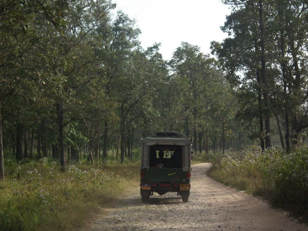 Tholpetty Wildlife Sanctuary in Wayanad
Image credits: Rameshng