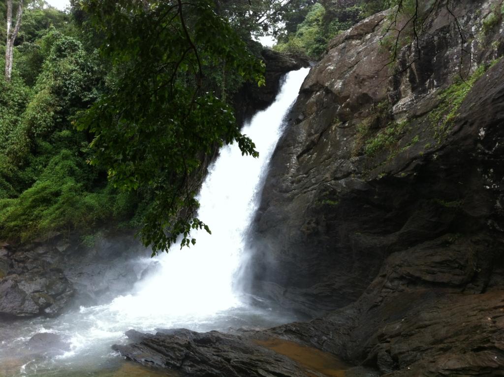 Soochipara Falls in Wayanad
Image credits: Yjenith