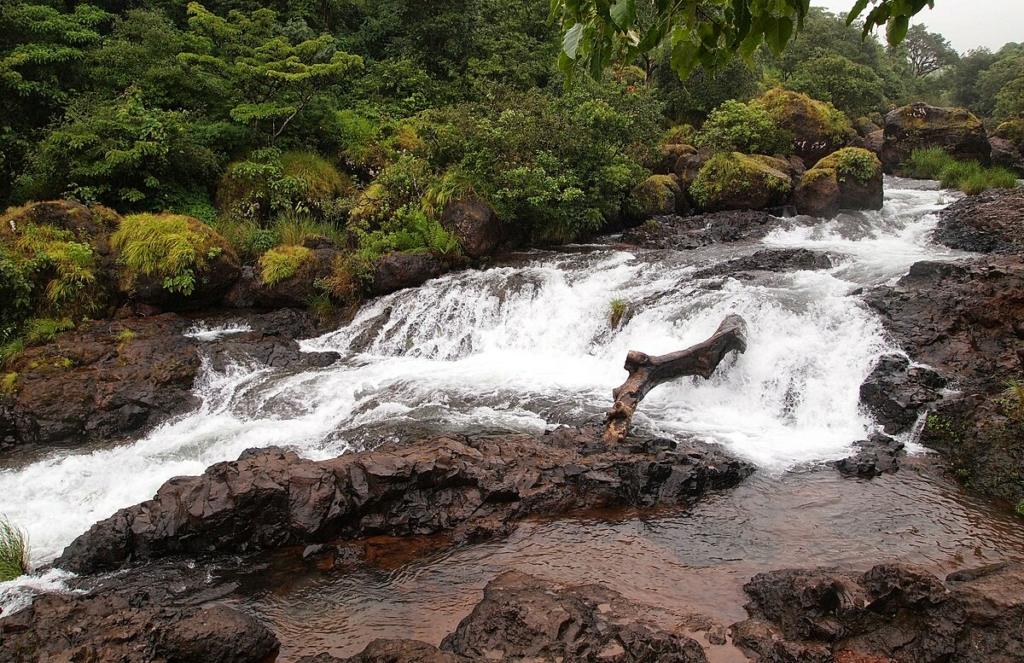 Best Waterfalls in Maharashta to Visit this Monsoon
Image credits: Neha173