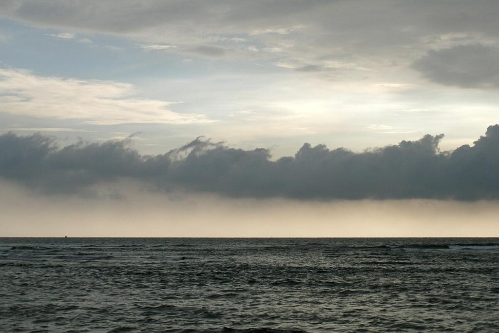 Mandrem, Dolphins in India
Image Credit: Vyacheslav Argenberg via Wikimedia commons