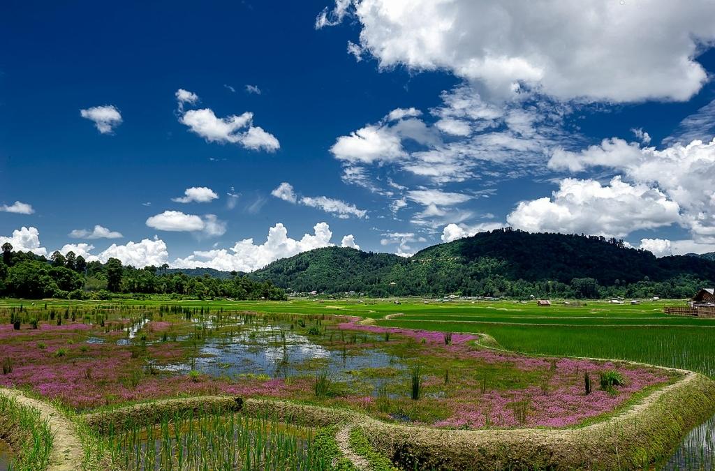 Visit these Valleys in the summer
Image credits: Arunachal2007