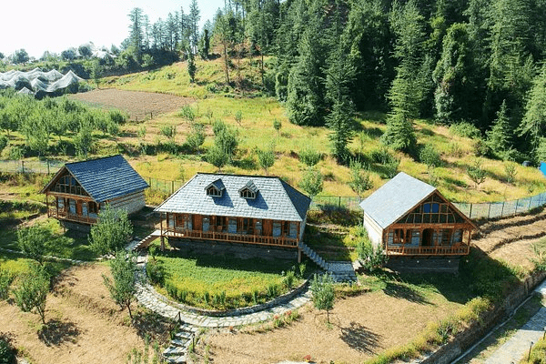 cheog near shimla