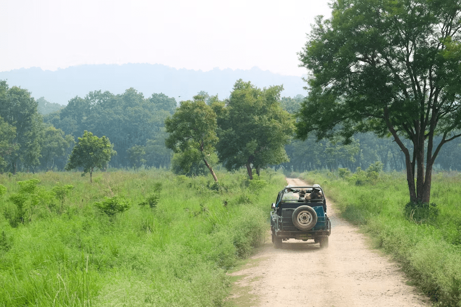 jim corbett safari for uttarakhand tourism