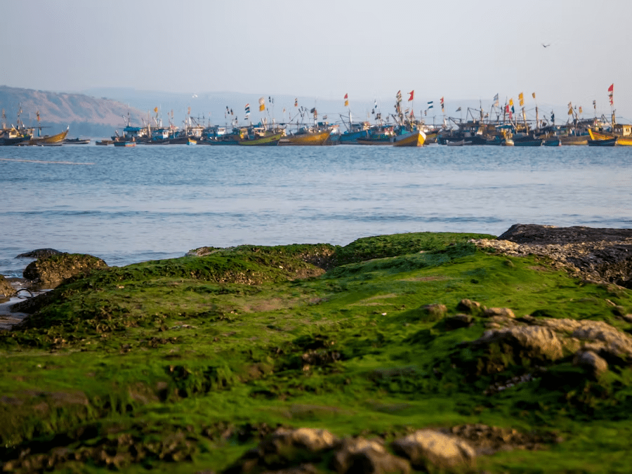 trip to konkan places to visit