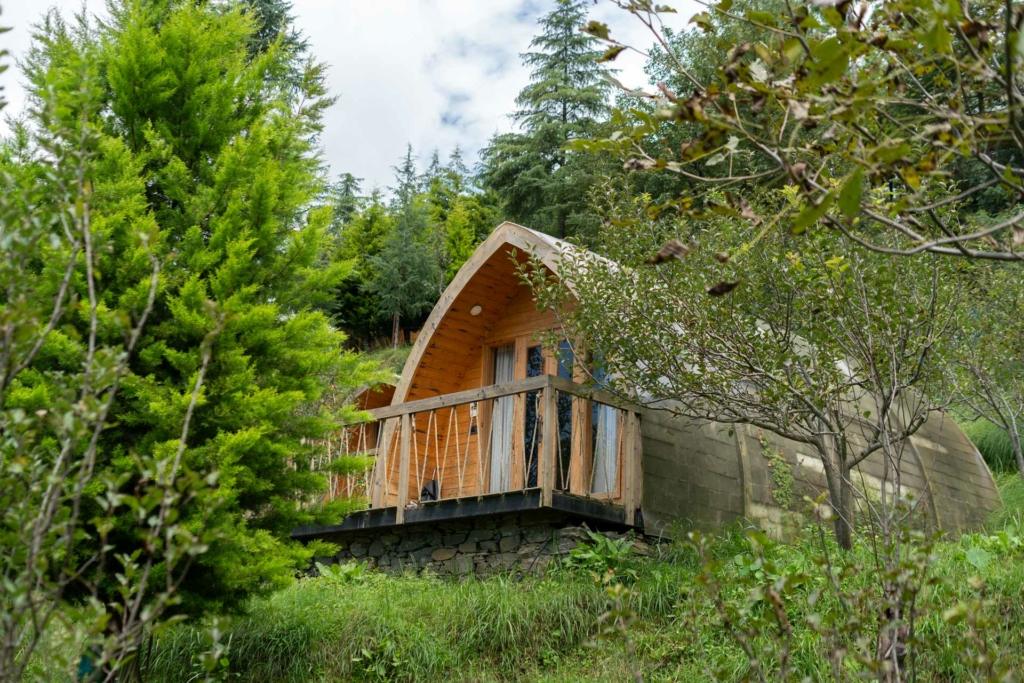 homestays near shimla