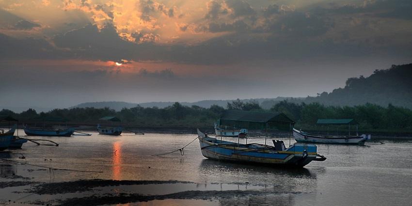 Tarkarli Beach, Dolphins in India
Image Credit: Sballal via Wikimedia Commons