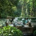Nature Retreats in South India with Family