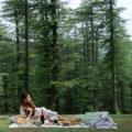 enjoying outdoor picnic in your trip to manali in summer