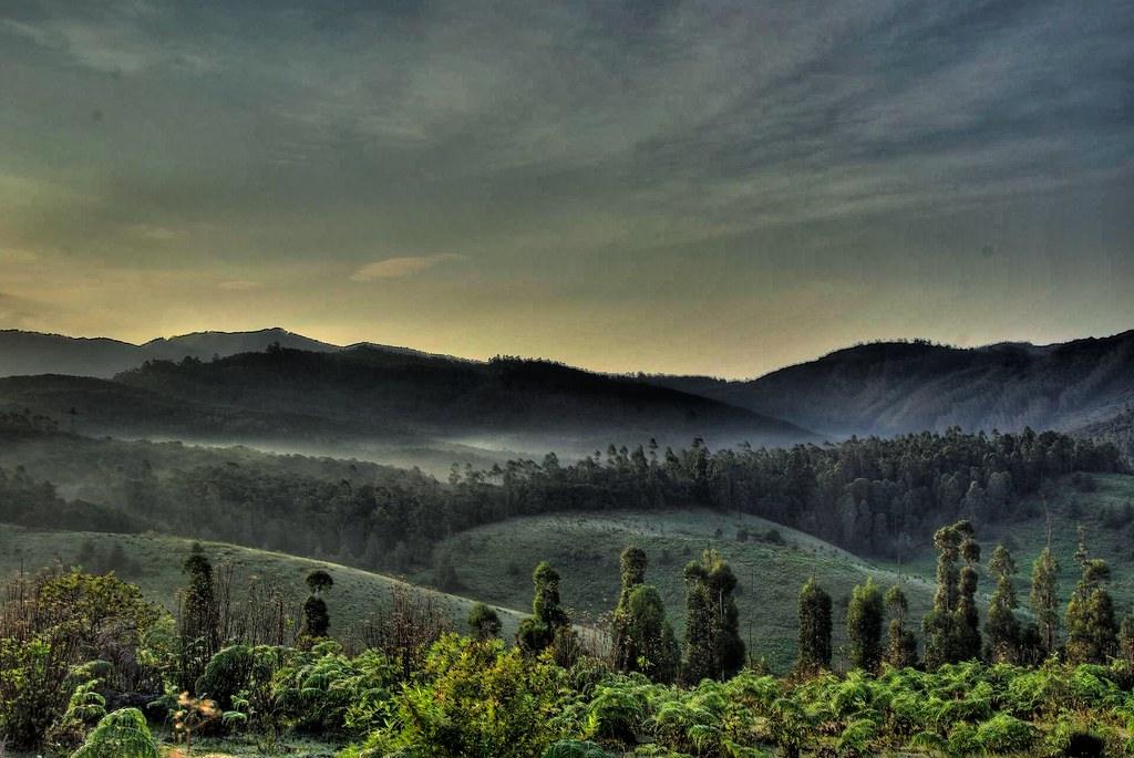 Misty hills, rain-soaked forests, and shimmering Kodai Lake in Kodaikanal during the monsoon season
