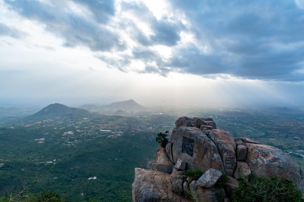 Misty eucalyptus forests, lush Environmental Park, at Horsley Hill station in the Monsoon season