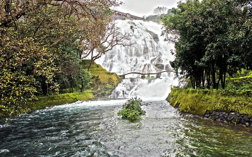 Image Credit: Desktopwallpapers via wikimedia commons