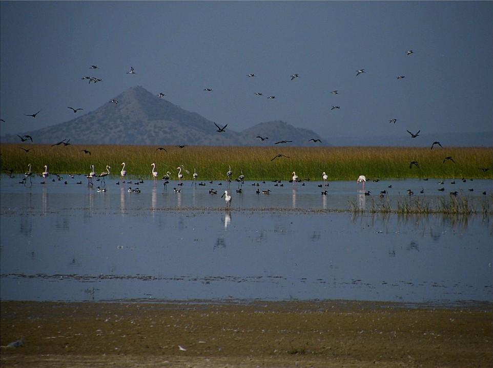 Image Credit: Jayesh Bheda via flickr