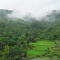 konkan road trip in monsoon