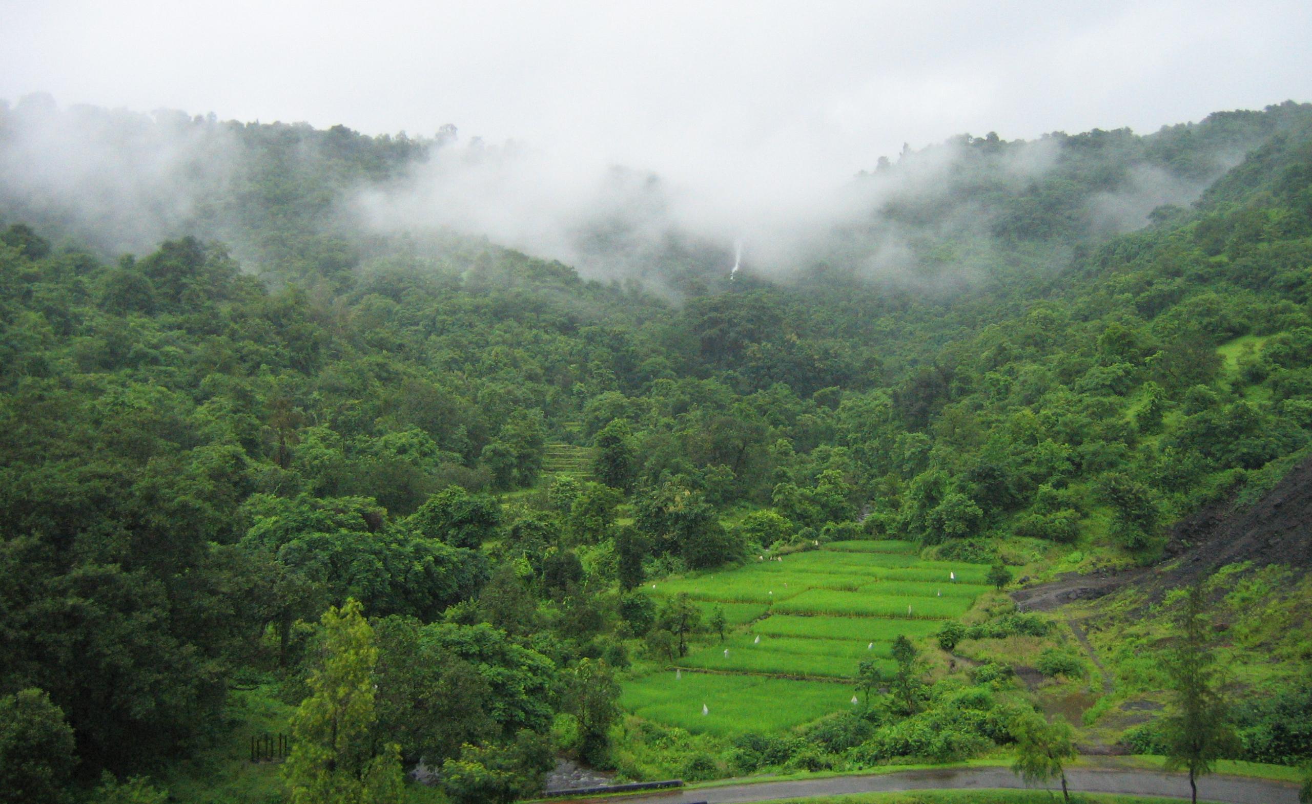 konkan road trip in monsoon